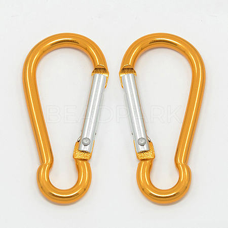 Aluminum Carabiners LS-EA026-09-1