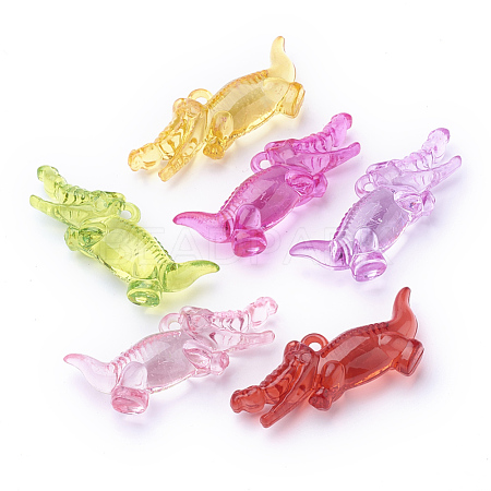 Transparent Acrylic Big Pendants TACR-T002-05-1