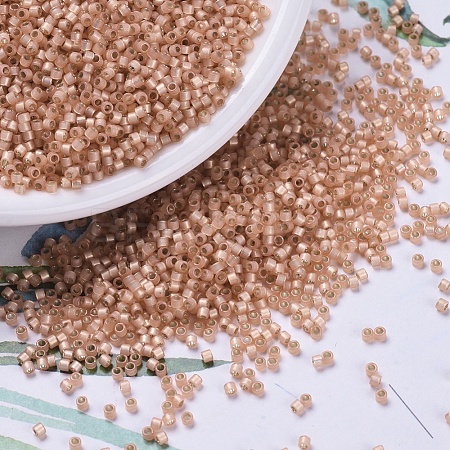 MIYUKI Delica Beads X-SEED-J020-DB0622-1