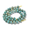 Natural Howlite Beads Strands G-E604-D01-A-4