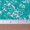 MIYUKI Delica Beads SEED-MY11-DB0786-4