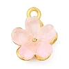 Alloy Glass Charms FIND-C079-05G-2