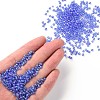 Round Glass Seed Beads SEED-A007-3mm-166-4