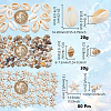 Natural Conch & Cowrie Shell Display Decorations DJEW-NB0001-53-2