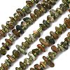 Natural Rhyolite Jasper Beads Strands G-F821-B01-01-2