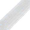 Frosted Transparent Glass Beads Strands FGLA-M002-01I-2