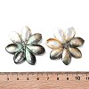 Natural Freshwater Shell Pendants SHEL-D082-08B-3