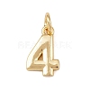 Brass Charms KK-G544-10G-04-1