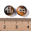 Natural Tiger Eye Beads G-L524-20H-02-3