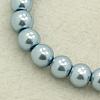 Glass Pearl Beads Strands X-HY-6D-B09-1