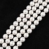 Shell Bead Strands BSHE-R146-6mm-02-1