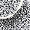 6/0 Glass Seed Beads SEED-L011-08A-12-1
