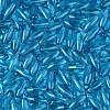 Transparent Colours Glass Seed Beads SEED-T007-16L-2