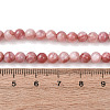 Natural Sea Shell Beads Strands SHEL-K006-74-4