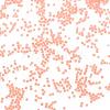 Transparent DIY 3D Nail Art Decoration Mini Glass Beads MRMJ-R038-C18-2