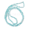 Frosted Crackle Glass Beads Strands GLAA-U001-4mm-M08-3