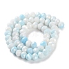 Electroplate Glass Beads Strands LAMP-S068-02K-2