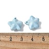 Natural Rainbow Alashan Agate Charms G-G194-02F-3