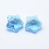 Transparent Glass Pendants GLAA-P037-04-06-2