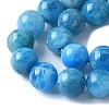 Natural Apatite Beads Strands G-I254-08H-3