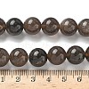 Natural Ice Obsidian Beads Strands G-P590-A03-12mm-01-3