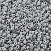 MIYUKI Delica Beads SEED-MY11-DB1139-3
