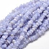 Natural Blue Lace Agate Chip Beads Strands X-G-E271-73-1