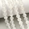 Natural Selenite Beads Strands G-N328-025B-01-5