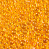 FGB Transparent Glass Seed Beads SEED-N013-01C-06-4