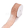 20 Yards Polyester Mesh Ribbon SRIB-P021-E03-3