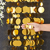 20Pcs PVC Sequin Round Beaded Curtain AJEW-CN0006-55C-3