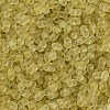 Glass Seed Beads SEED-L011-01B-01-3