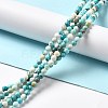 Natural Magnesite Beads Strands G-L555-02A-02-5
