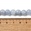 Dyed Natural Malaysia Jade Beads Strands G-G021-02B-22-3