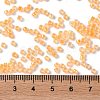 Glass Seed Beads X-SEED-S042-13A-05-4