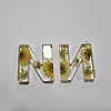 Transparent Epoxy Resin Pendants CRES-YW0002-12N-1