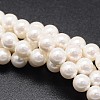 Shell Pearl Beads Strands X-BSHE-E008-4mm-12-1