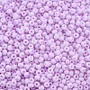 6/0 Glass Seed Beads SEED-T005-14-B06-3