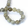 Natural Labradorite Round Bead Strands X-G-E334-6mm-19-3