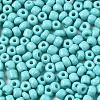 6/0 Glass Seed Beads SEED-S058-A-F437-3
