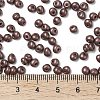 6/0 Glass Seed Beads SEED-L011-08A-08-4