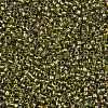 TOHO Round Seed Beads X-SEED-TR15-0996-2