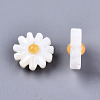 Natural Freshwater Shell Beads SHEL-S266-14A-01-3