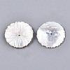 Natural White Shell Mother of Pearl Shell Beads X-SSHEL-N032-19-2