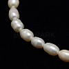 Natural Cultured Freshwater Pearl Beads Strands PEAR-L001-B-03-2