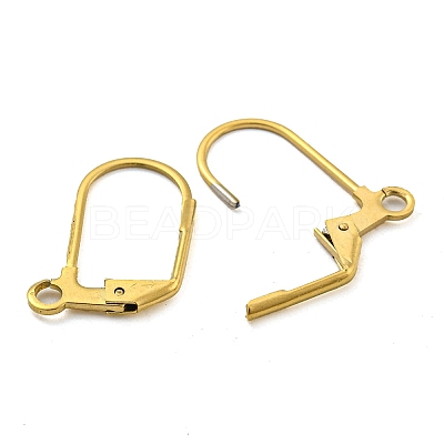 Ion Plating(IP) 304 Stainless Steel Leverback Earring Findings STAS-P360-02B-G-1