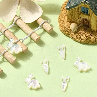 6Pcs 2 Styles Natural White Shell Beads BSHE-CJ0001-05-1