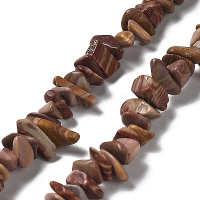 Natural Petrified Wood Beads Strands G-M205-89-1