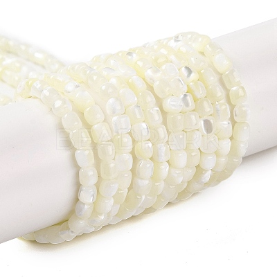 Natural Trochus Shell Beads Strands BSHE-S304-09B-1