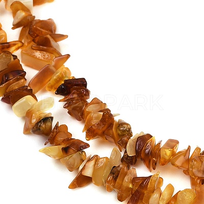 Natural Amber Chip Beads Strands G-E271-81-01-1